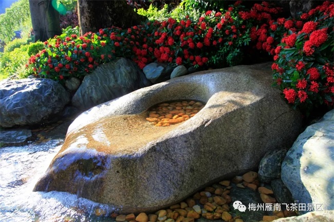 国产精品自产拍在线观看免费