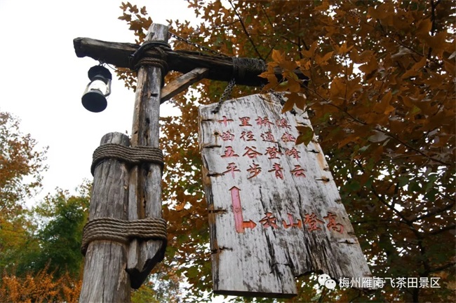 国产精品自产拍在线观看免费