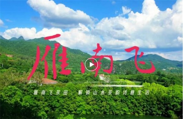 519中国旅游日丨在雁南飞畅享人文漫游+非遗研学+山水田园，收藏这篇就够了！