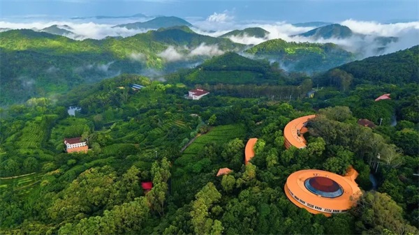 夏天的第一场旅行就来雁南飞！寻一份夏日清凉与诗意