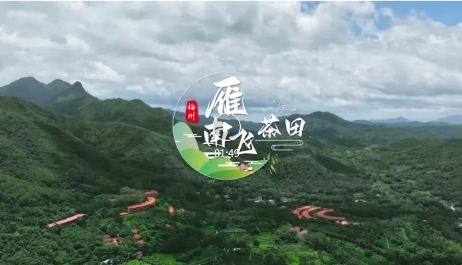 小暑至，盛夏来丨雁南飞送你一份清凉攻略，解锁夏日避暑打卡点的清凉密码
