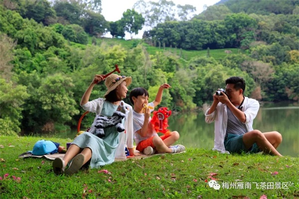 暑假带娃怕累趴？来雁南飞不赶路、长见识，家庭友好度拉满！玩着就能学，保姆级攻略收好！